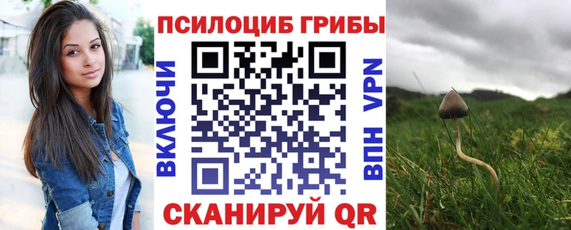 ссылка на мегу ссылки  как найти наркотики  Назрань  Галлюциногенные грибы GOLDEN TEACHER 