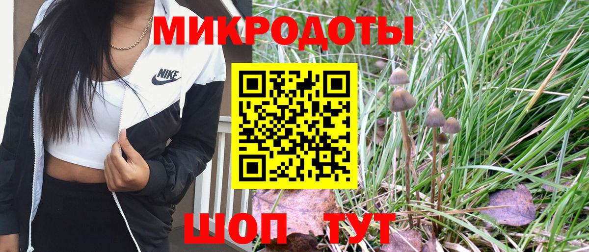 Галлюциногенные грибы Psilocybe  Назрань 