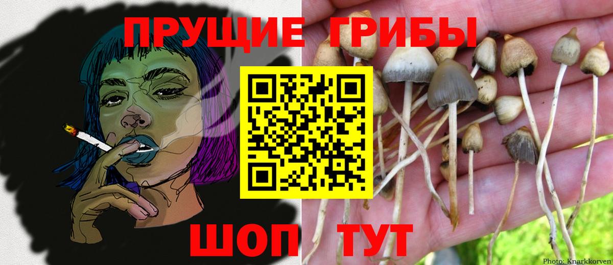 Псилоцибиновые грибы прущие грибы Назрань